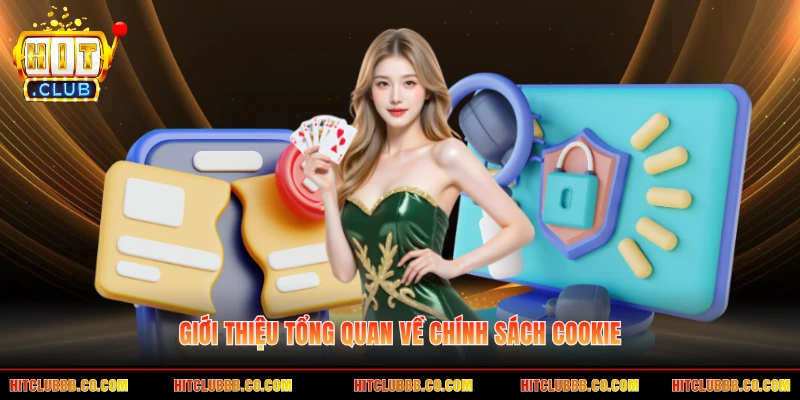 Giới thiệu tổng quan về chính sách cookie